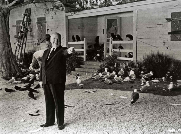 Alfred Hitchcock při natáčení kultovního hororu Ptáci. Alfred Hitchcock při natáčení kultovního hororu Ptáci.